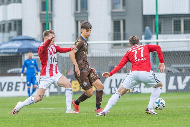 借鉴沙特和 借鉴沙特和