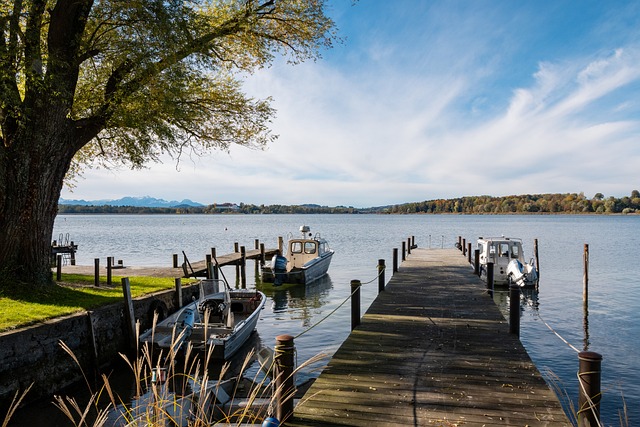 不僅顯示出 不僅顯示出