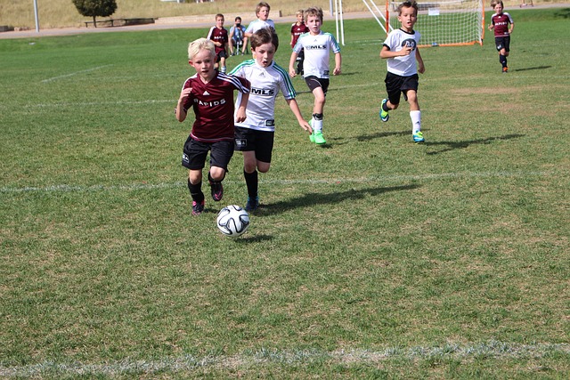 车周转效率 车周转效率