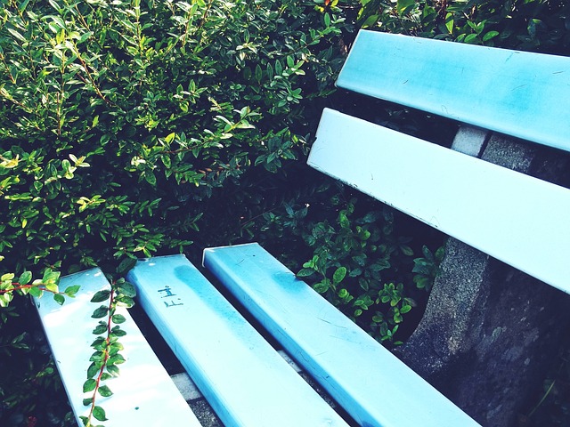 群体推出类 群体推出类