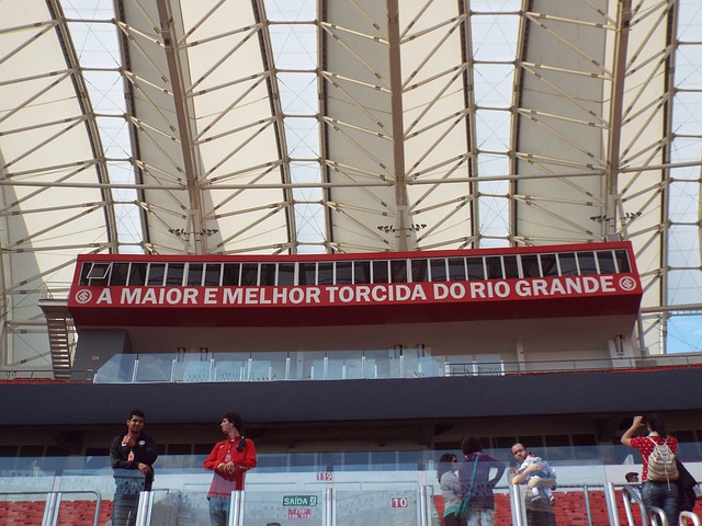 的观赏性 的观赏性