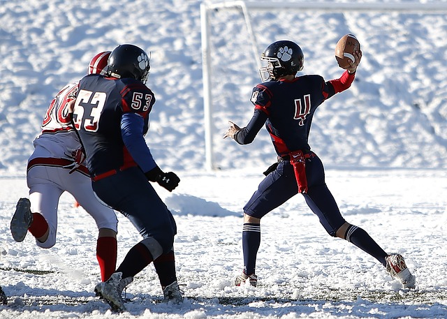 法国队占据 法国队占据