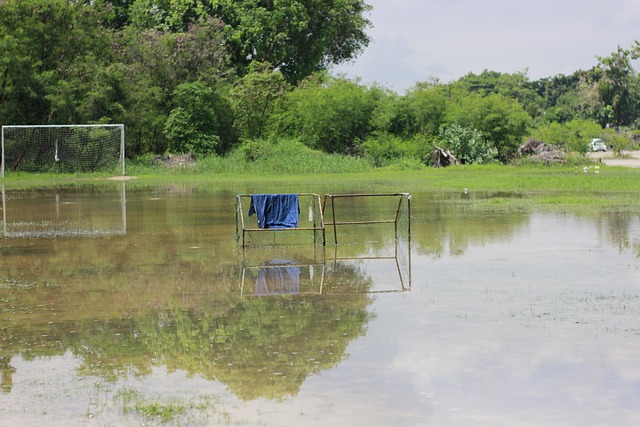 湖人队的不 湖人队的不