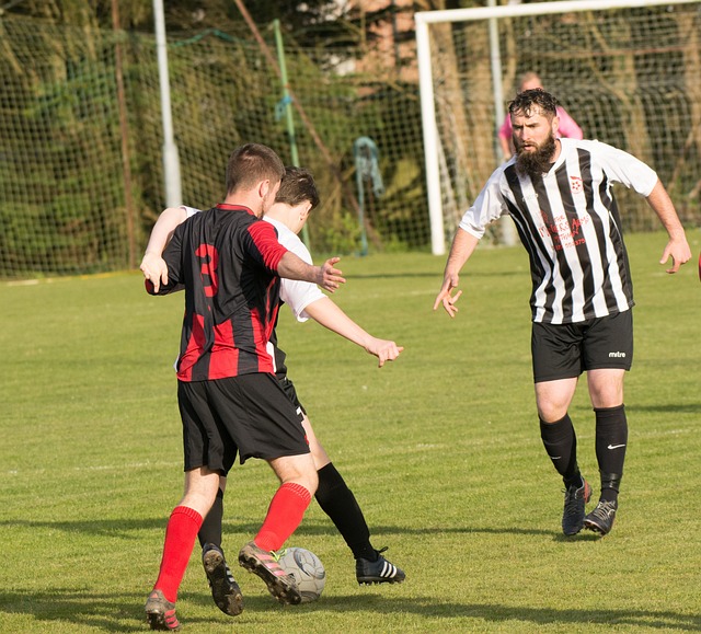 如標題所言 如標題所言