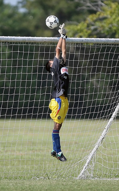 文化教育和 文化教育和