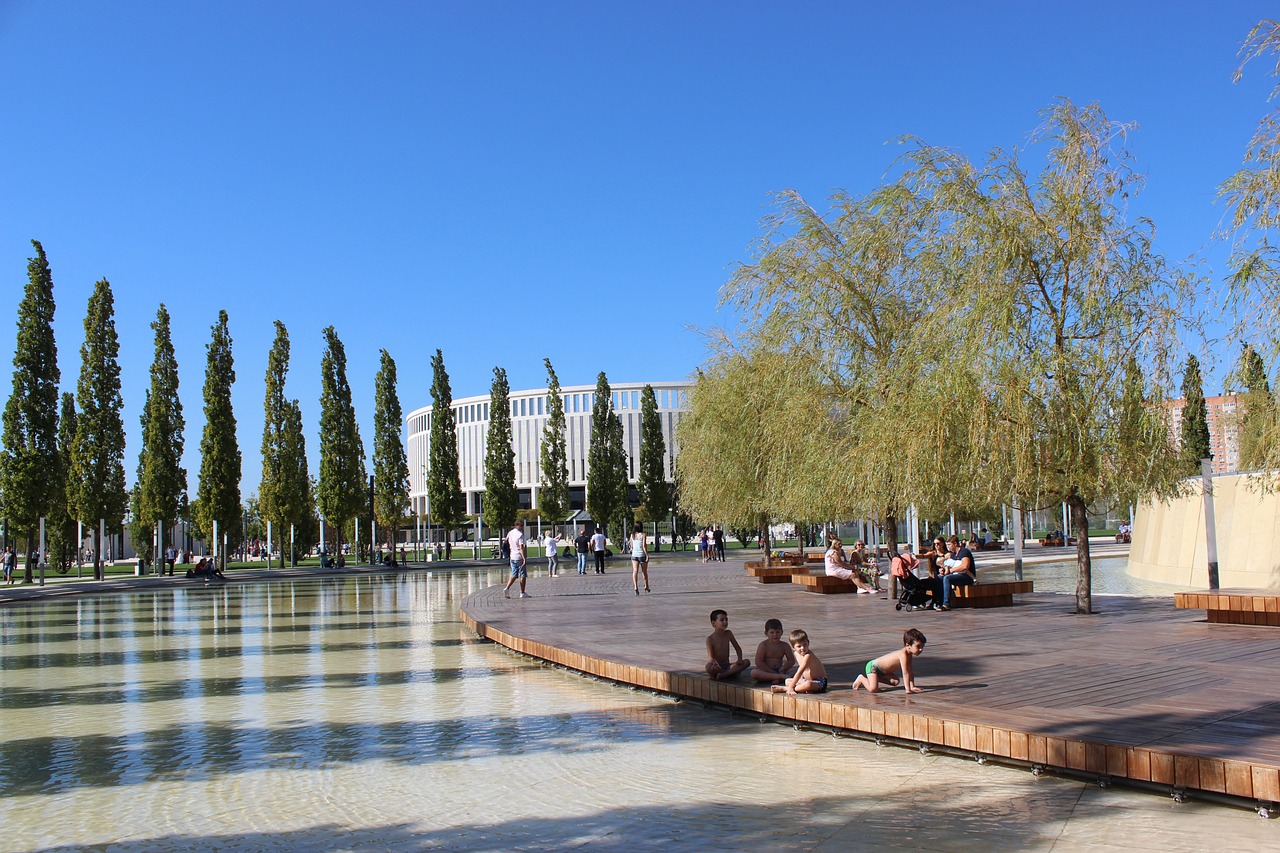 选手们需要 选手们需要