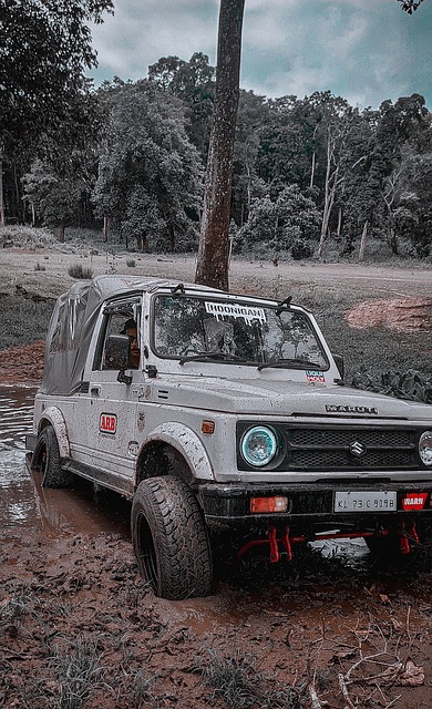 他成立了八 他成立了八