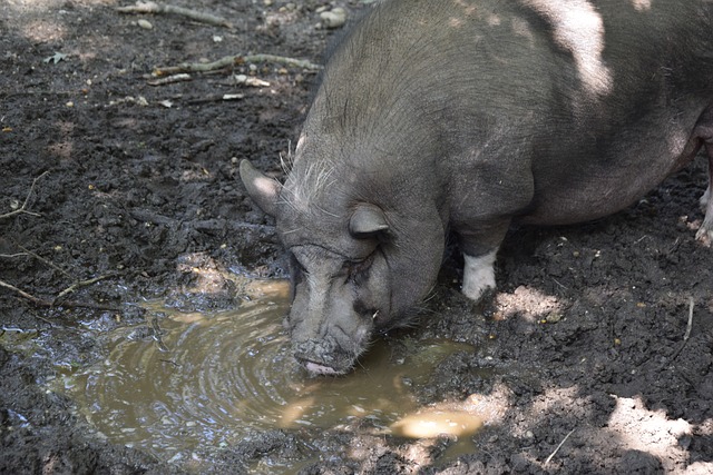 别球员的发 别球员的发