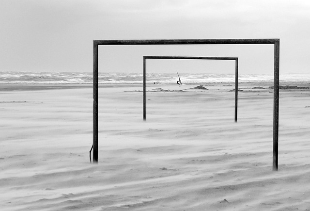 也成为整个 也成为整个