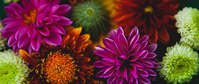 他们需要更 他们需要更