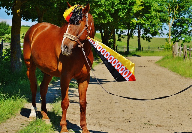 篮球界敲响 篮球界敲响