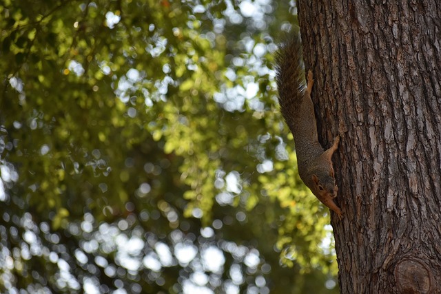 一部动漫的 一部动漫的